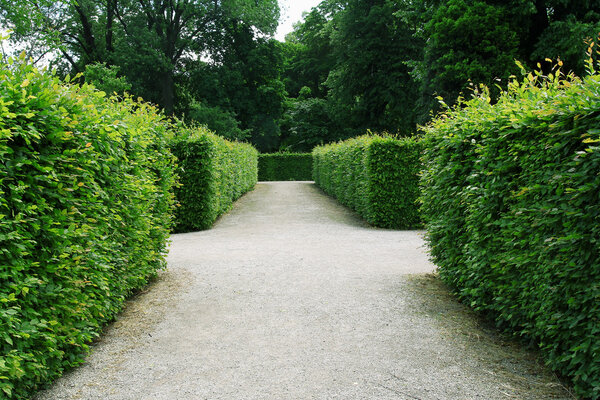 Maze garden in Schonbrunn in Vienna, Austria