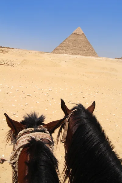 Piramide van Chefren in giza, Egypte van paard — Stockfoto