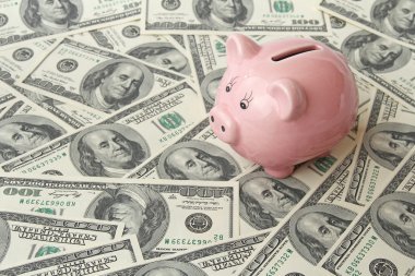 100 dolar faturaları üzerinde domuz banka