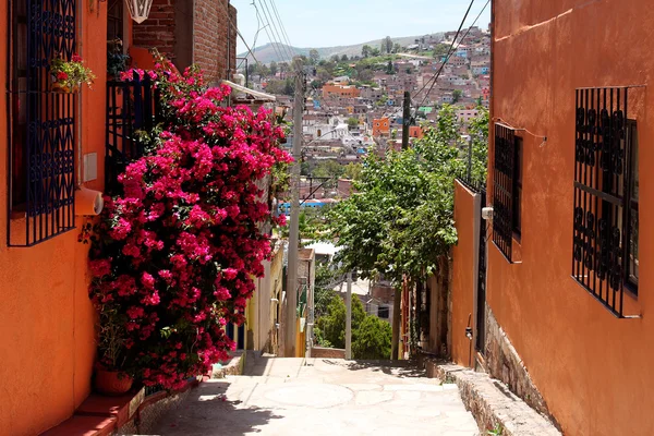 Bela rua estreita em Guanajuato, México — Fotografia de Stock