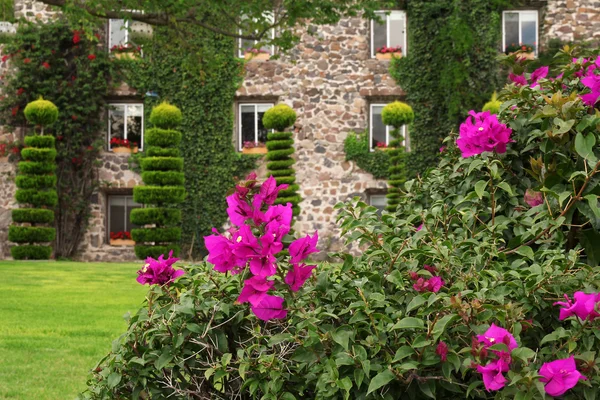 Beautiful garden and stone building — Stock Photo, Image