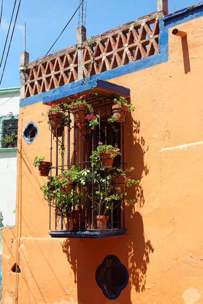 Balcone con fiori — Foto Stock