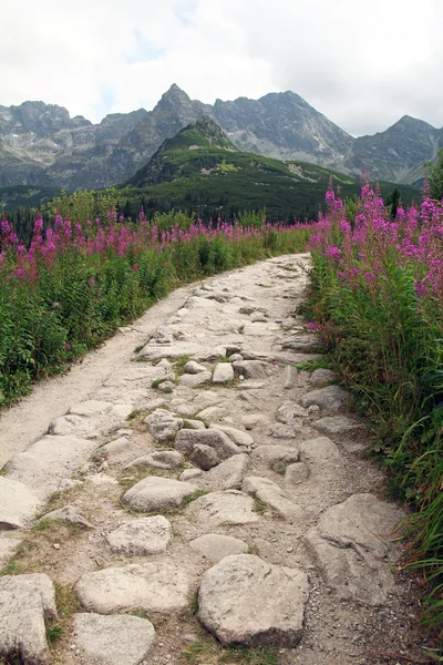 Wanderweg in der Tatra — Stockfoto