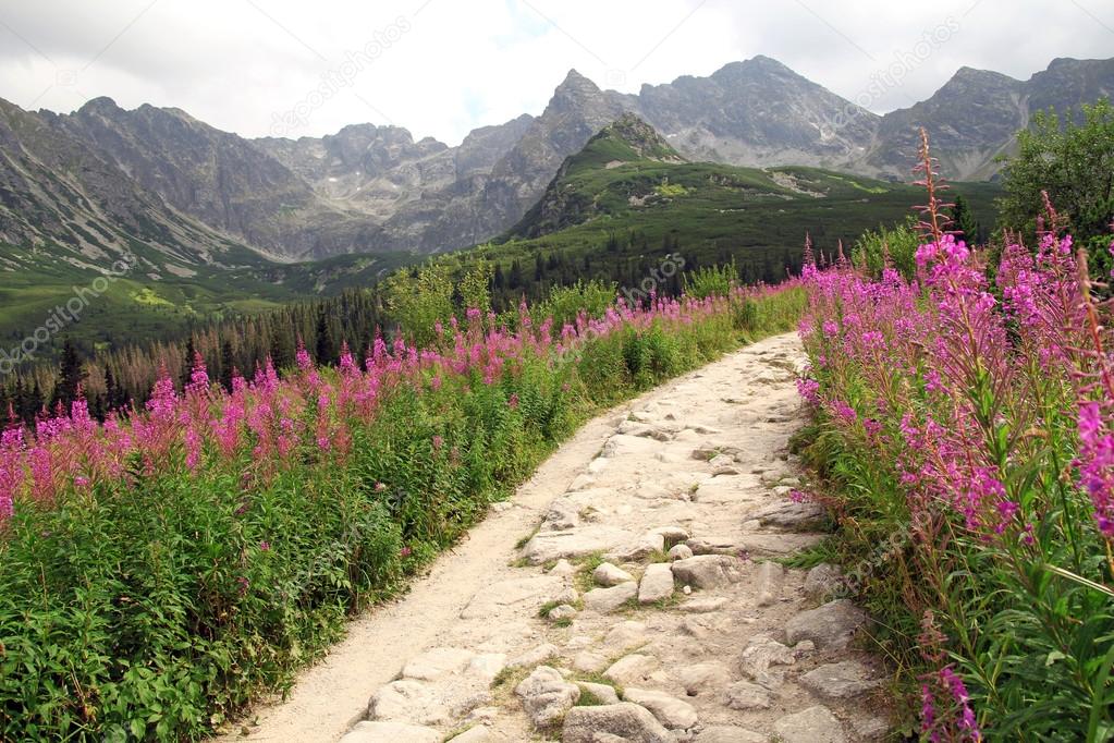 Beautiful view on hiking path in Tatra Mountains in Poland