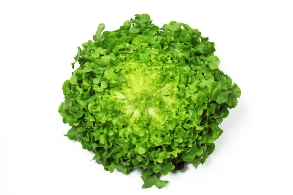 Frischer grüner Salat — Stockfoto