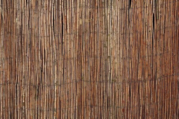 Bamboo mat — Stockfoto