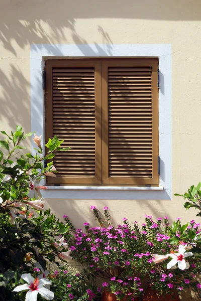 在美丽的花-克里特岛，希腊快门的窗口 — 图库照片