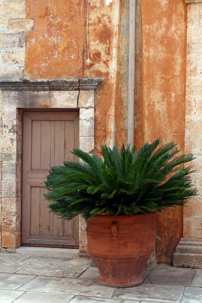 Régi, fából készült ajtó és a palm-terrakotta bankot — Stock Fotó