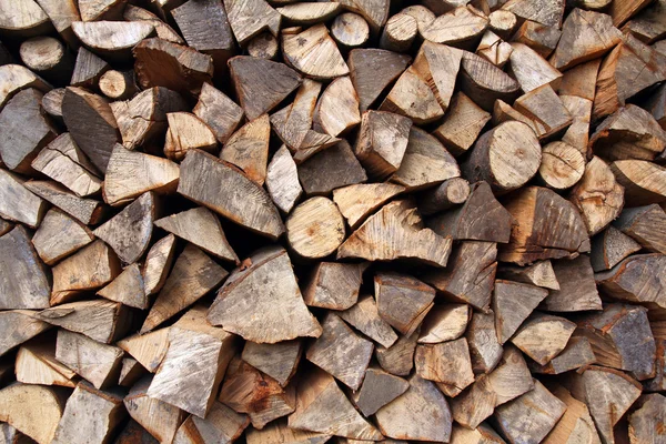 Ιστορικό κορμών ξύλου — Φωτογραφία Αρχείου