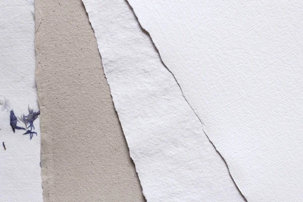 Primer plano de diferentes texturas de papel — Foto de Stock