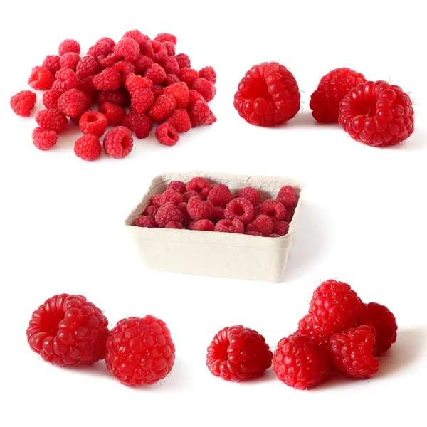Collection of raspberries isolated on white — Stock Photo, Image