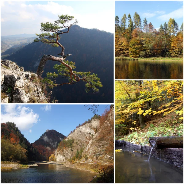 Комплект фотографий с осенних пейзажей гор Пенины в Польше — стоковое фото