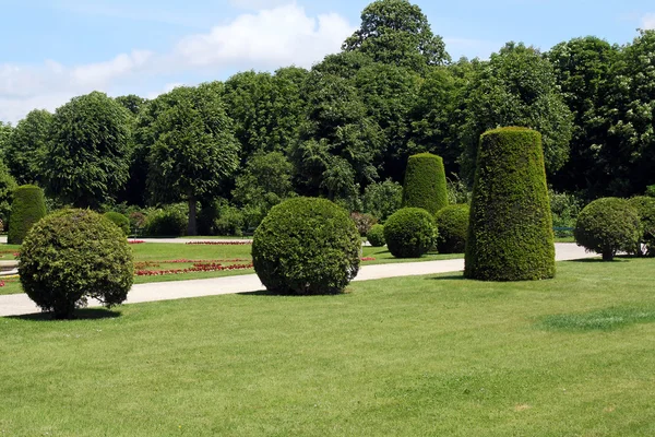 Haies et buissons réguliers dans le jardin Schonbrunn à Vienne, Autriche — Photo