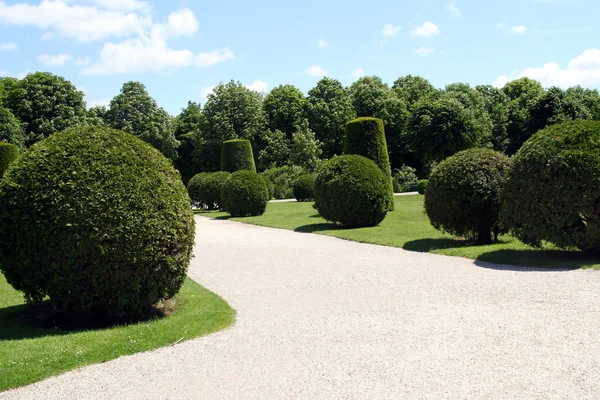 Coberturas y arbustos regulares bien cuidados en el jardín Schonbrunn en Vien — Foto de Stock