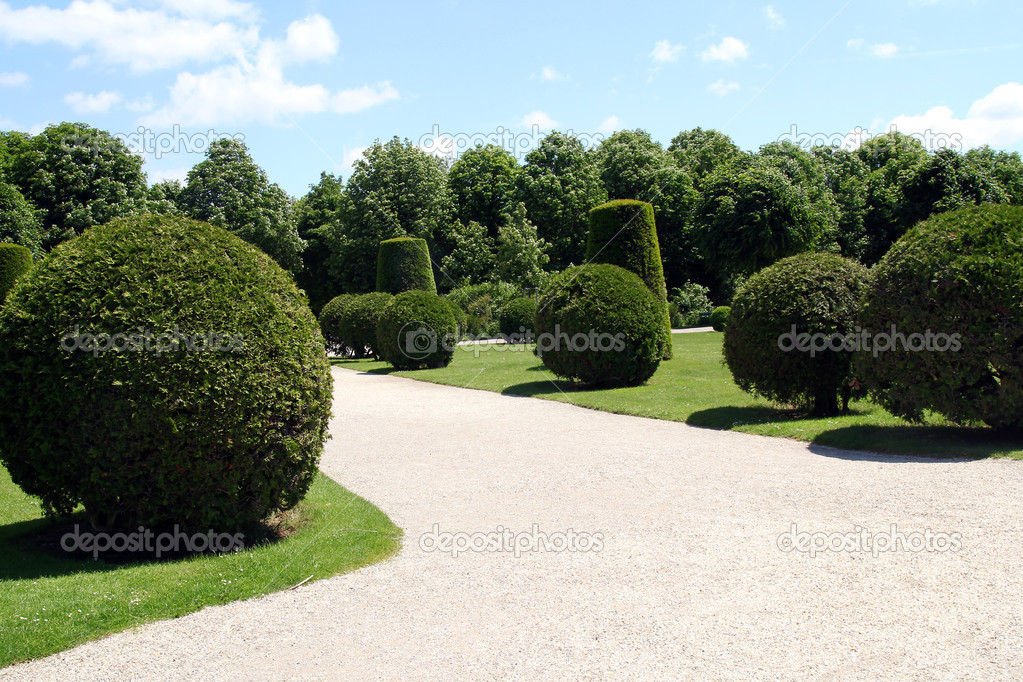 Well-kept regular hedges and bushes in Schonbrunn garden in Vien