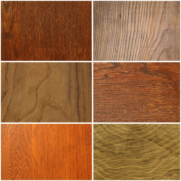 Set of different wood texture or background — Stock Photo, Image