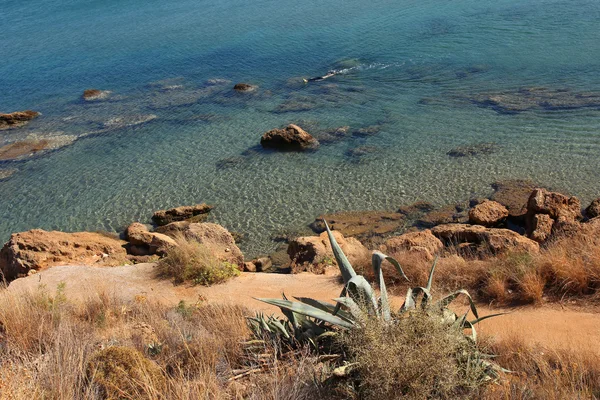 L'homme snorkeling dans une mer de cristal près du rivage rocheux — Photo