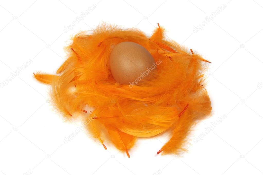 Egg in an orange feathers nest