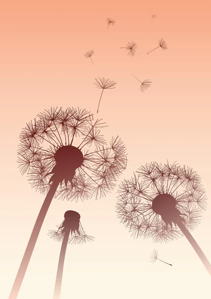 Vector dandelions in sepia with flying seeds — Stock Vector