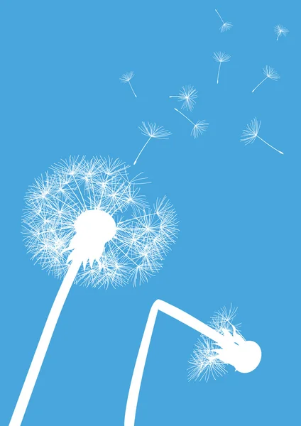 Pissenlits blancs sur fond bleu un avec tige cassée — Image vectorielle
