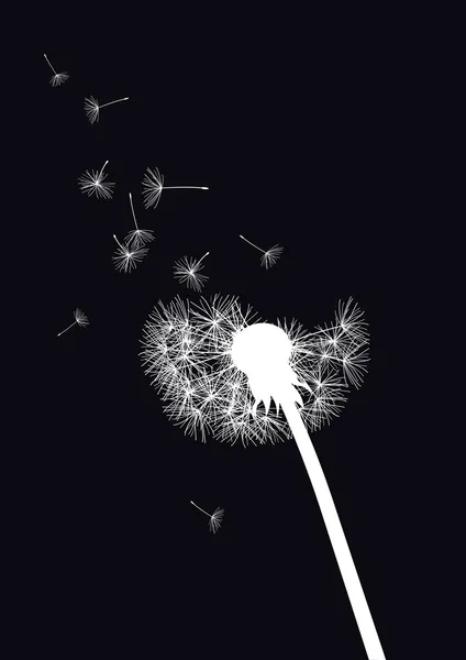 Black and white vector dandelion — Stock Vector