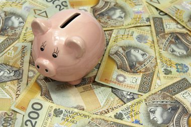 Polonya Zlotisi banknotların üzerinde domuz banka