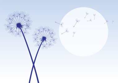 Blue dandelions with flying seeds clipart