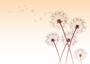 Dandelions sepya içinde