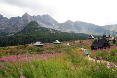 Tatra Dağları, Polonya 'daki Gasienicowa Vadisi