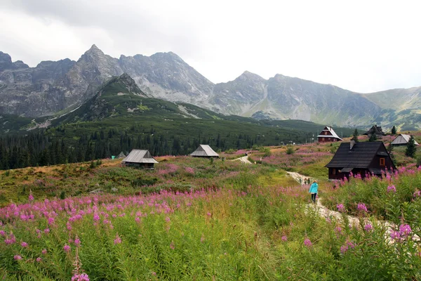 Vale de Gasienicowa em Montanhas Tatra, Polônia — Fotografia de Stock