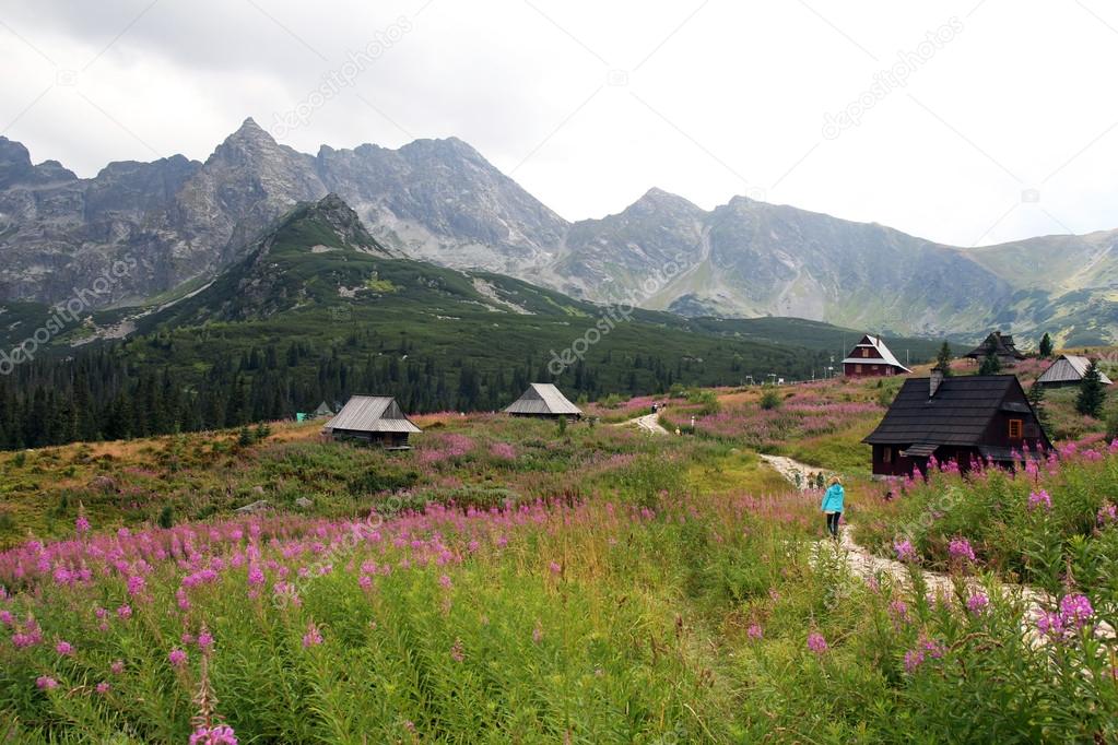 Gasienicowa valley in Tatra Mountains, Poland