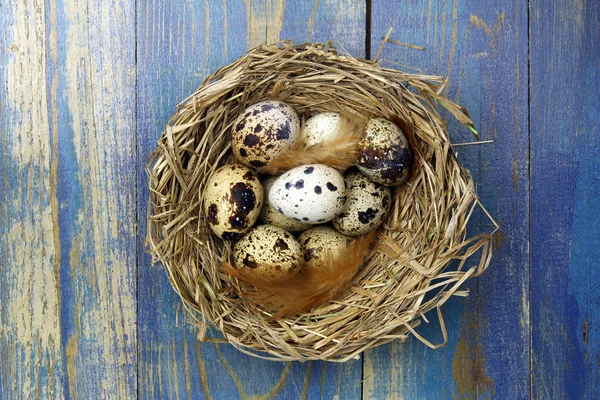 Ovos em um ninho em fundo de madeira — Fotografia de Stock