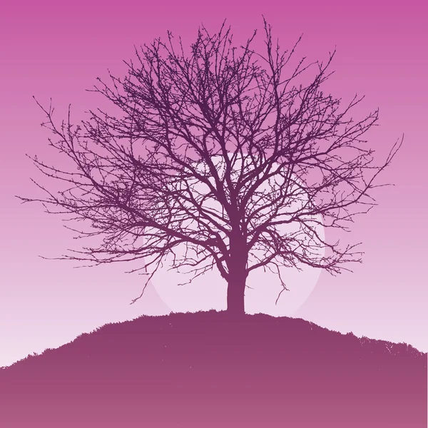 Silhouette de l'arbre et du soleil — Image vectorielle