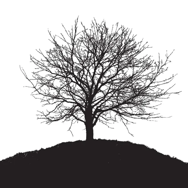 黒い木のシルエット — ストックベクタ