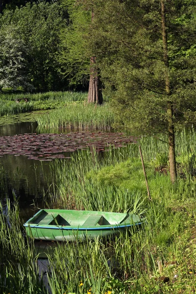 Lagoa com lírios de água e um barco — Fotografia de Stock