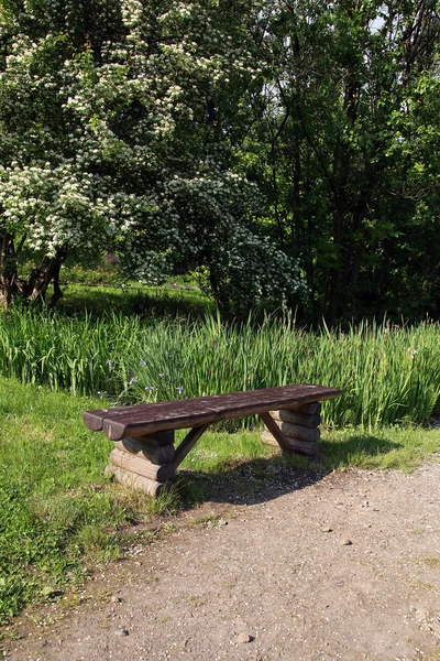 Bench a tavaszi parkban — Stock Fotó