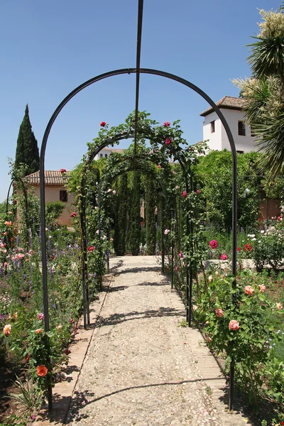 Bellissimo giardino di rose dell'Alhambra a Granada, Spagna — Foto Stock