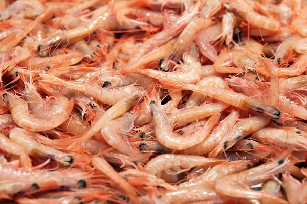 Fresh shrimps at the fish market — Stock Photo, Image