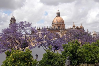 jerez de la frontera, İspanya katedral kubbe görüntüleyin