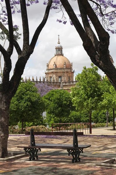 Скамейка в парке с собором в Херес-де-ла-Фронтера, Испания — стоковое фото