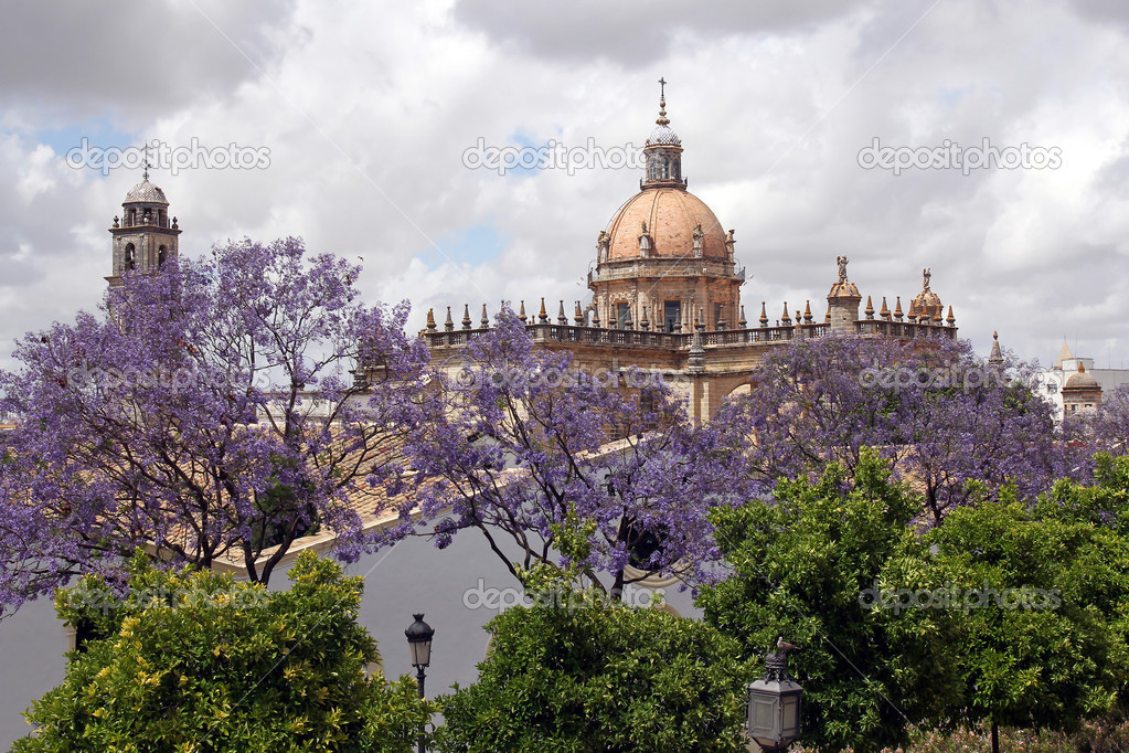 View on cupola of The Cathedral in Jerez de la Frontera, Spain