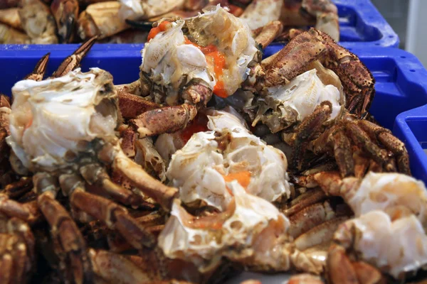 Fresh crab at the fish market — Stock Photo, Image