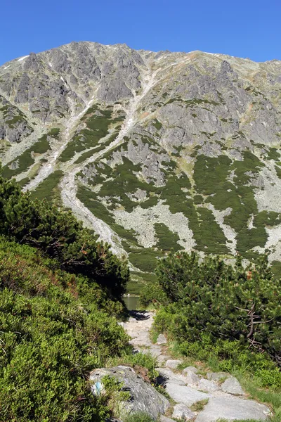 Tatra 산, 자 코 파 네, 폴란드 — 스톡 사진
