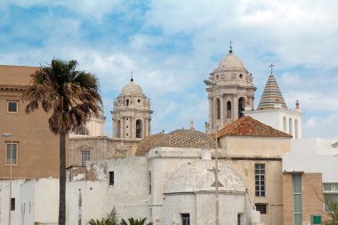 Catedral cadiz, İspanya