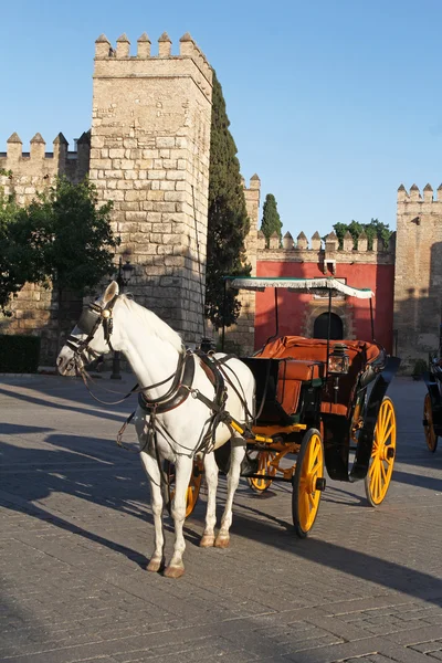 Carruaje de caballos cerca de la catedral de Sevilla, España —  Fotos de Stock