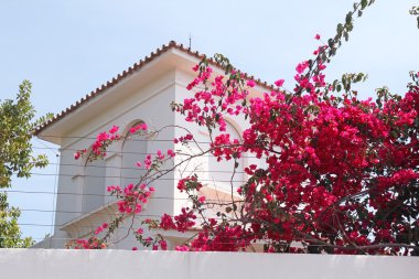 İspanyol evi ve pembe çiçekler