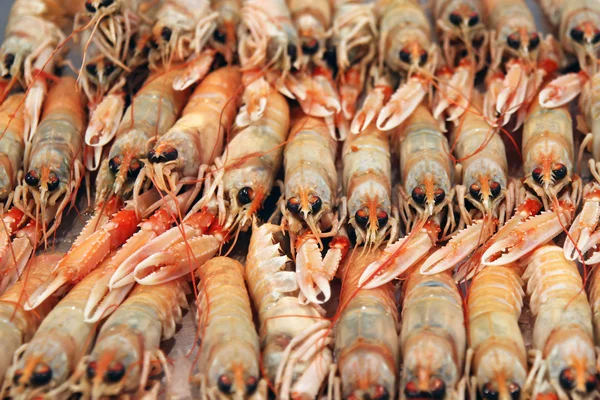 Crayfish at the fishmarket — Stock Photo, Image