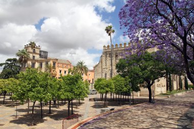 Alcazar de jerez de la frontera, İspanya