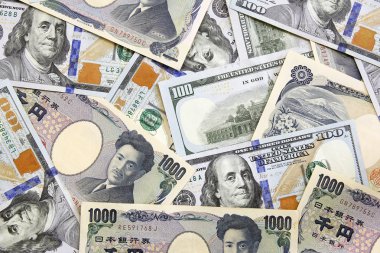 Amerikan Doları ve yens-Döviz Kuru kavramı