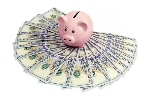 Pink piggy bank on dollars-new 2013 edition — Stock Photo, Image